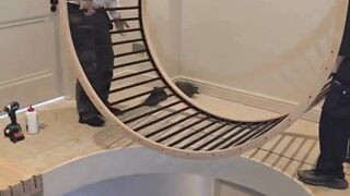 carpentry