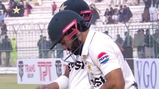 Funny Song & Cricket