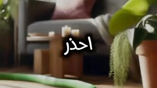 إذا دخل ثعبان إلى بيتك احذر أن تقتله???? حذرنا النبي عنها