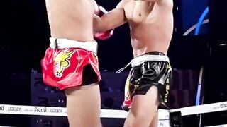 Muay Thai Combat ????