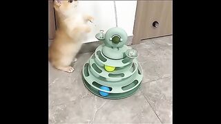 4 Levels Cat Toy Tower Turntable Roller Balls
