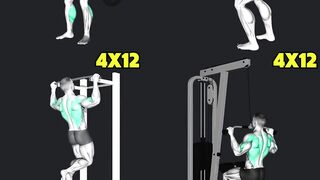 Back Exercises You Need (6 Effective Workout)