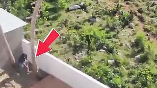 Tahu kah kalian??? Orang ini meneng pohon kelapa sendiri dan akhirnya ini yang terjadi...