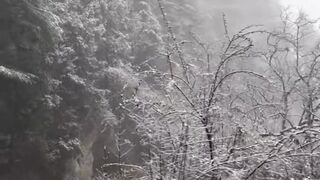Whispers of Sorrow in the Falling Snow