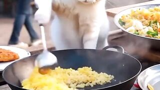 Kucing AI