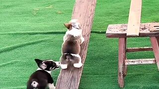 Challenge video