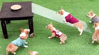 Video challenge