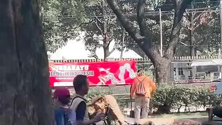 Return of the dinosaurs