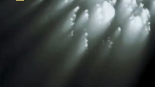 film/W samo południe/