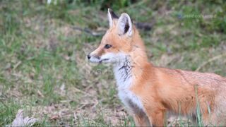 Top chef ❤️ cooking 2025