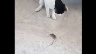 no stop laughing!!