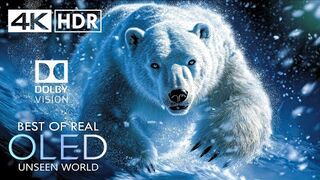 UNSEEN OLED 4K HDR 60FPS Dolby Vision 4K Video ULTRA HD