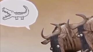 ودير عقلك نتا في المراة