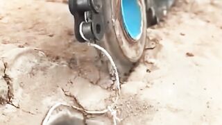 اخطر المصيدة الأفاعي