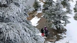 افكار مصيدة