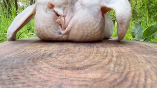 KEK KALIBINDA TENEKE TAVUK. Cooking tin Chicken