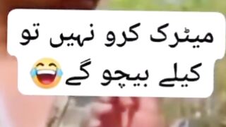 Funny videos