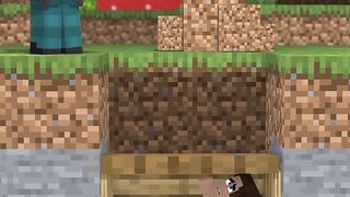 Herobrine's soul Minecraft