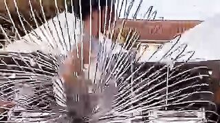 ideo 2025-01-20 at 9.05.42 PM.mp4