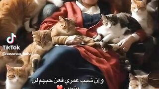 Trand cat