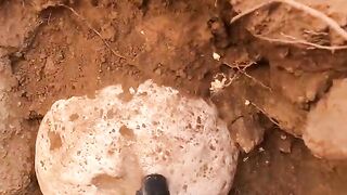 Treasure in the middle of the rock