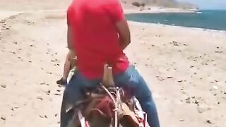ركوب الجمال