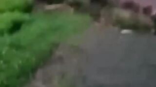 Musim hujan bencana dimana mana
