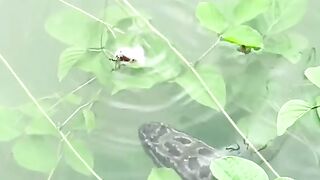Spot mancing paling indah