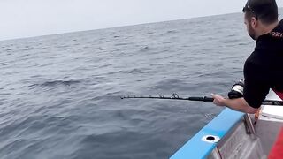 Mancing di tengah lautan ikan raksasa