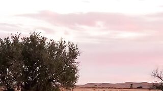الجنوب التونسي