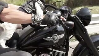 Motors