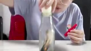 fun animation