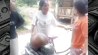 viral orang berantem
