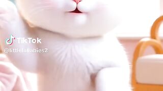 A beautiful cat.