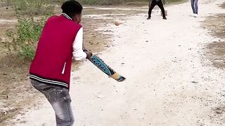 Cricket