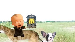 Elephant,cat,dog,fox, crying baby & toy car vs high speed train
