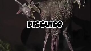 Skinwalker in Animals Disguise