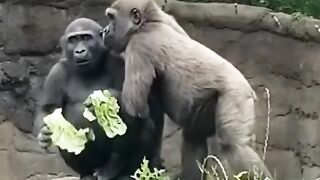 Tender moment between