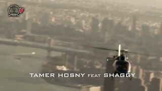 Tamer hisny vs shaggy
