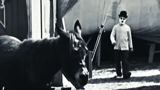Le visage de Charlie Chaplin provoque un poney