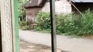 good cat