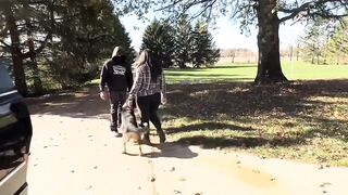 Pet Dog Training