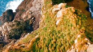 Beautiful Nature | Originally Sound