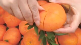 Natural fruits clip