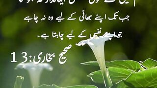 #nature #naturelovers #naturephotography #quran