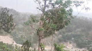 Wind before the rain