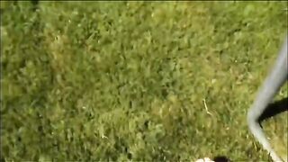 Multi comedy and funny shots