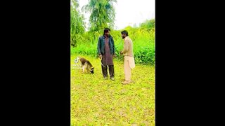 tiktok funny videos 3