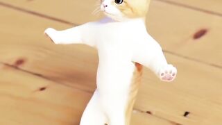 Funny cat dancing