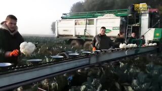 Modern Farming Machines & Technology that will Amaze You _ Doorbini